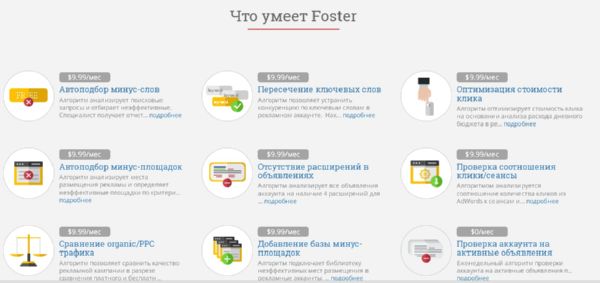 Foster Report
