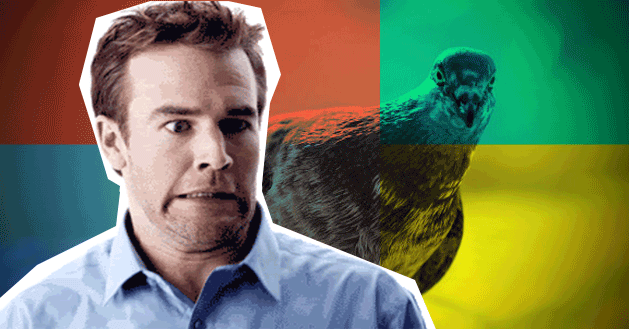 funzionamento dell'algoritmo Google Pigeon
