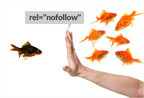 come usare nofollow