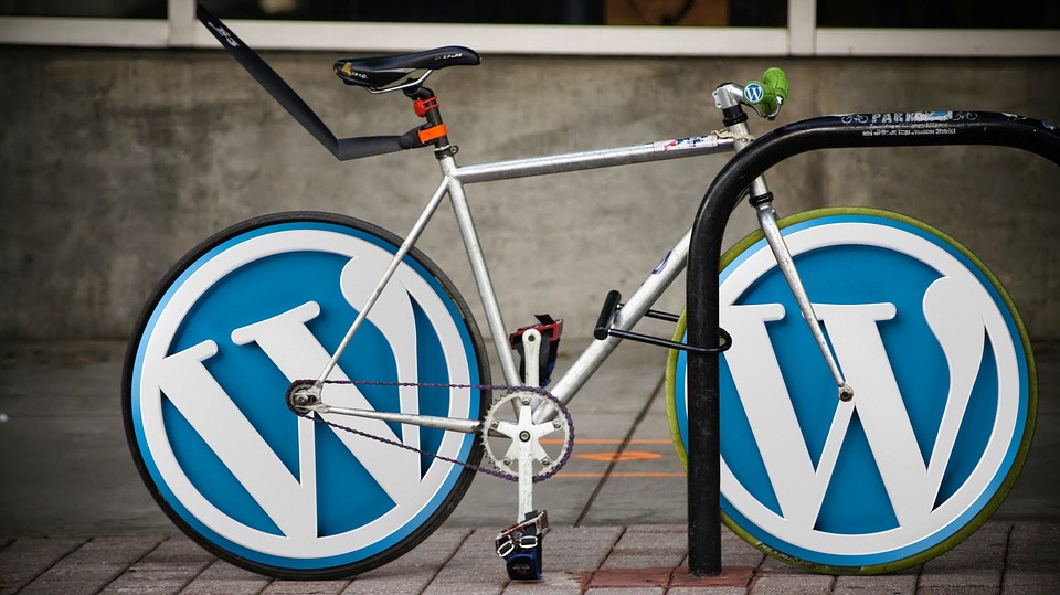 WordPress per professionisti. Consigli utili