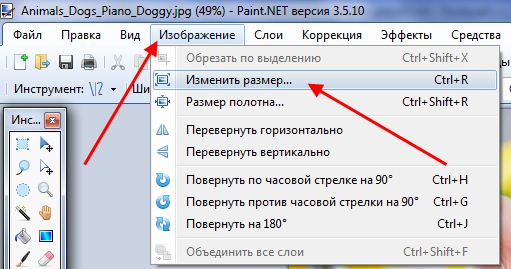 ridimensionare un’immagine in Paint