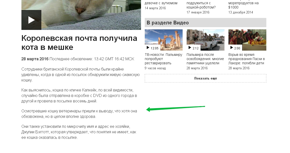 contenuto giornalistico