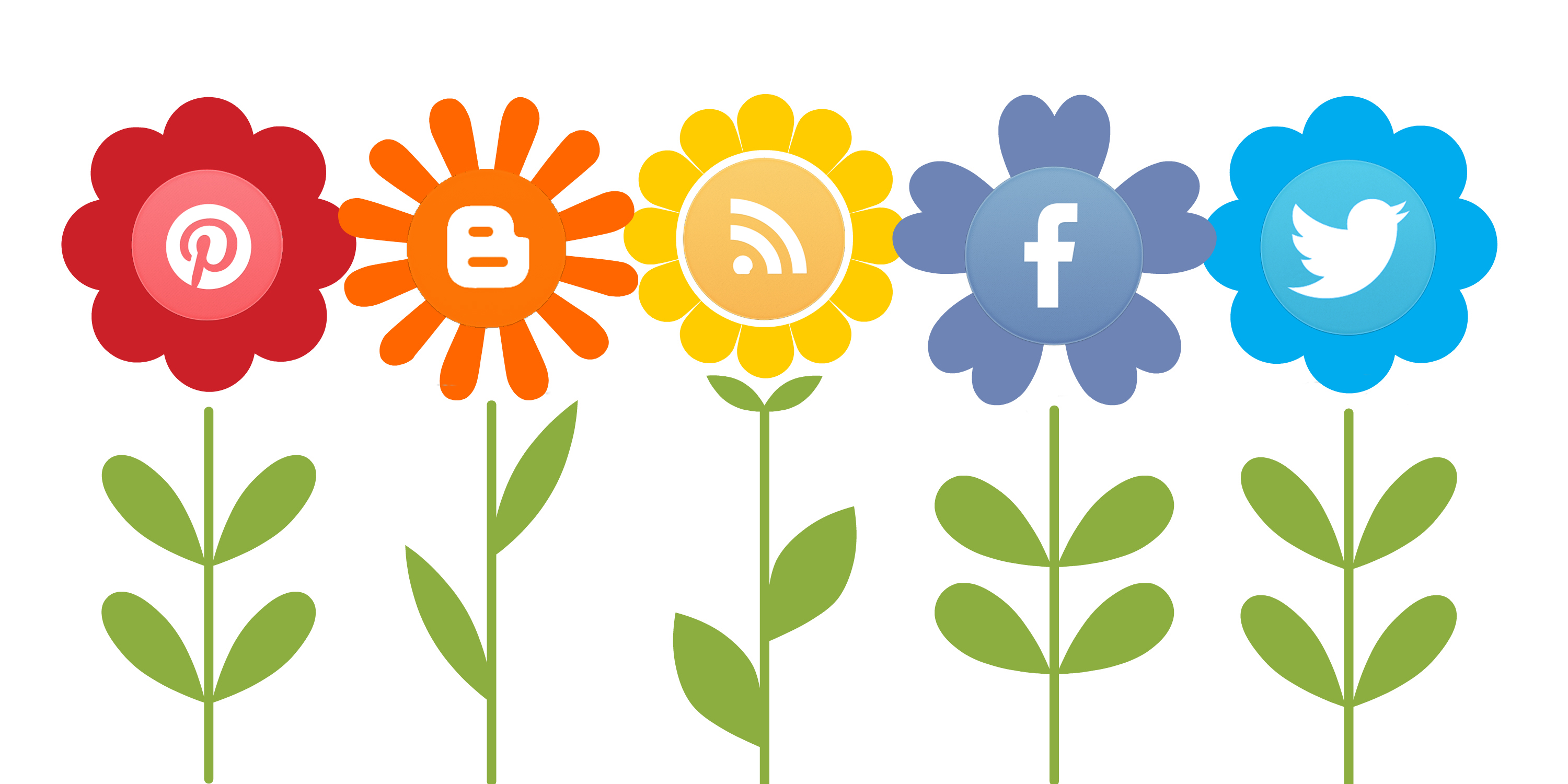 Che cos’è la promozione sui social media e cosa evitare
