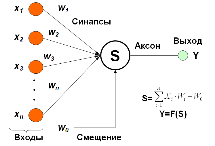 neurone di bias